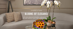 Blooms of Elegance