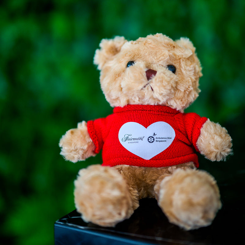 Ambulance Wish Teddy Bear