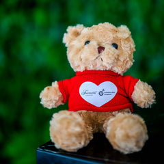 Ambulance Wish Teddy Bear