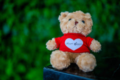 Ambulance Wish Teddy Bear